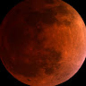 Meet your Posher, Samira